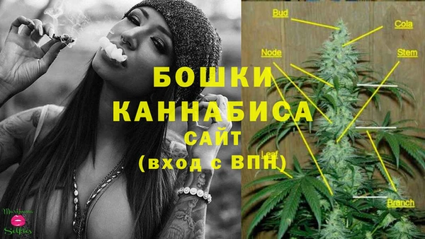 прущие грибы Богородицк