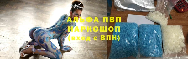 прущие грибы Богородицк