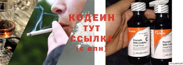 стаф Богданович