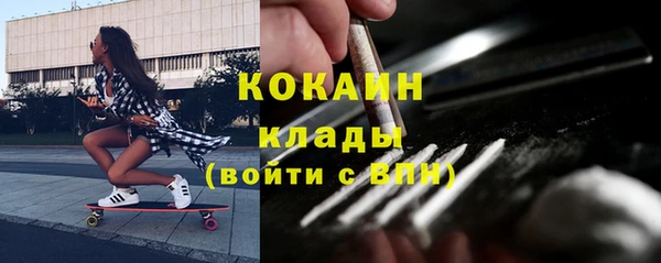 стаф Богданович