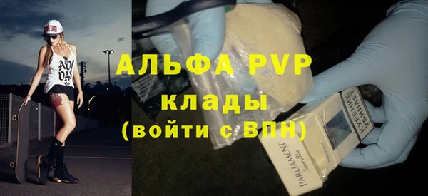 стаф Богданович