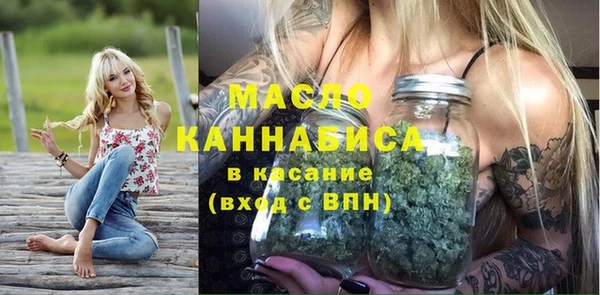 стаф Богданович