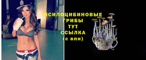 прущие грибы Богородицк