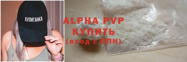 прущие грибы Богородицк