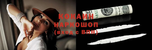 прущие грибы Богородицк