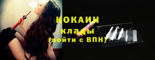 прущие грибы Богородицк