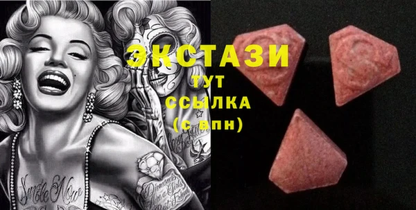 стаф Богданович