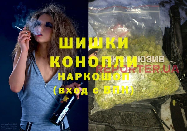 стаф Богданович