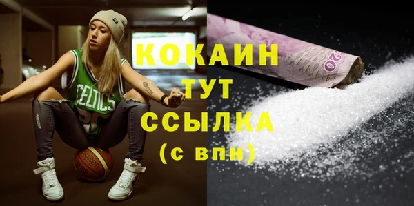 стаф Богданович