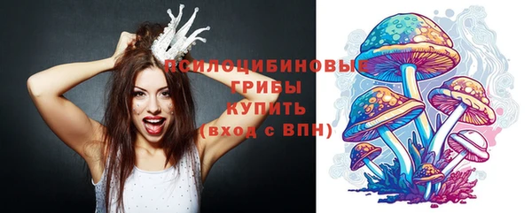 прущие грибы Богородицк