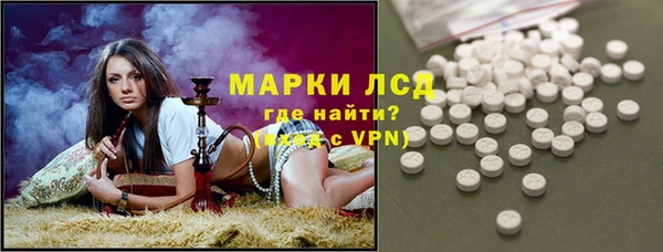 прущие грибы Богородицк