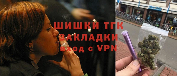 стаф Богданович