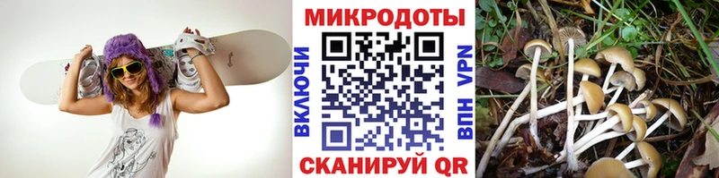 ОМГ ОМГ зеркало  Реж  Псилоцибиновые грибы мухоморы 